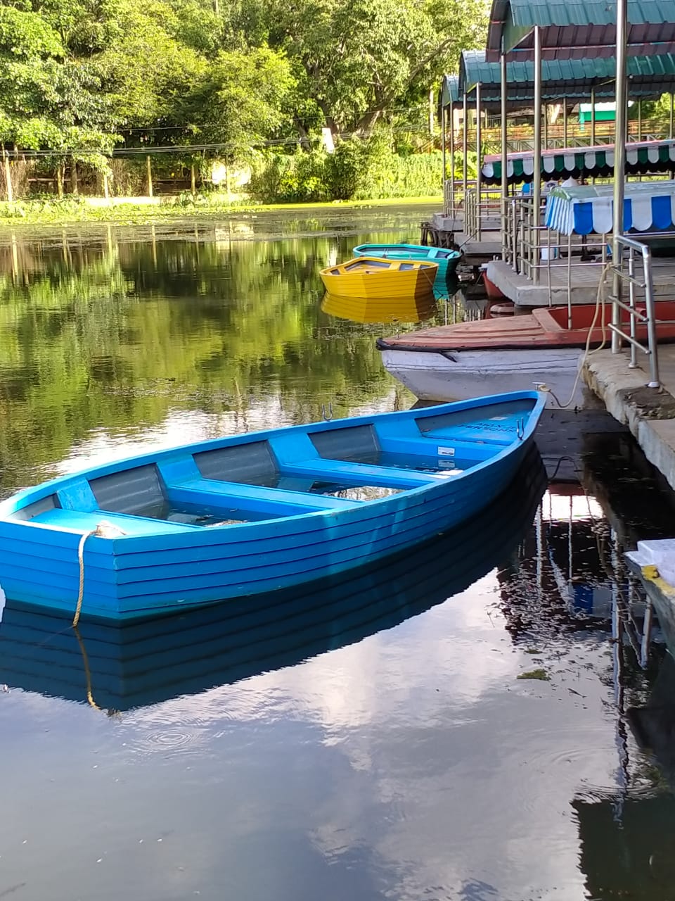 WhatsApp Image 2021-07-28 at 4.27.50 PM